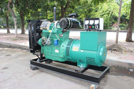 林西发电机不发电的原因